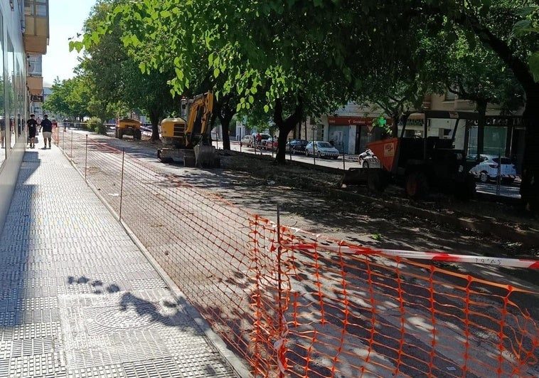 De la tala de arbolado en intervenciones en espacios públicos